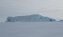 Iceberg stuck in the sea ice
