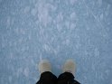 Standing on the frozen ocean