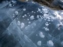 Bubbles in the ice